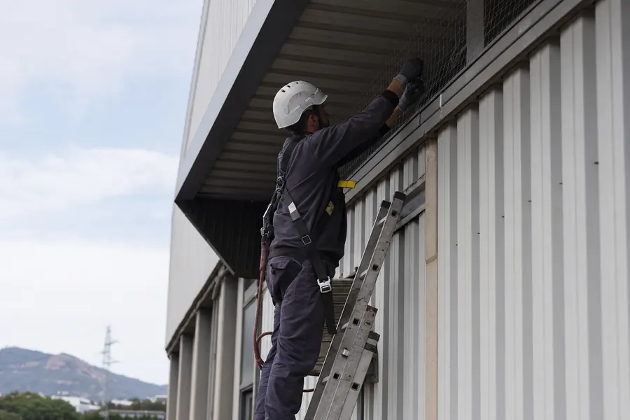 Control de plagas para comunidades de vecinos en Sant Boi de Llobregat — Deratik