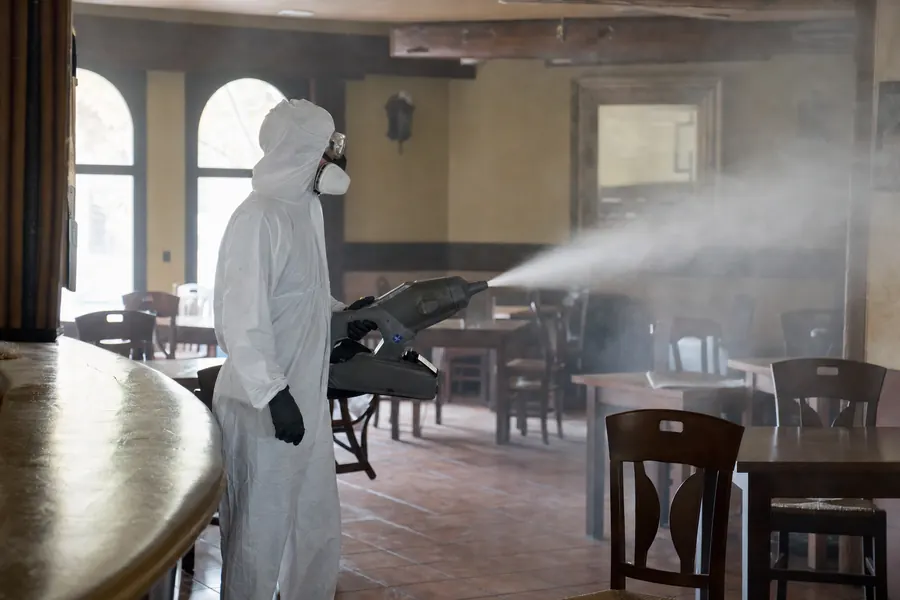 ¿Es seguro fumigar con niños y mascotas en casa?